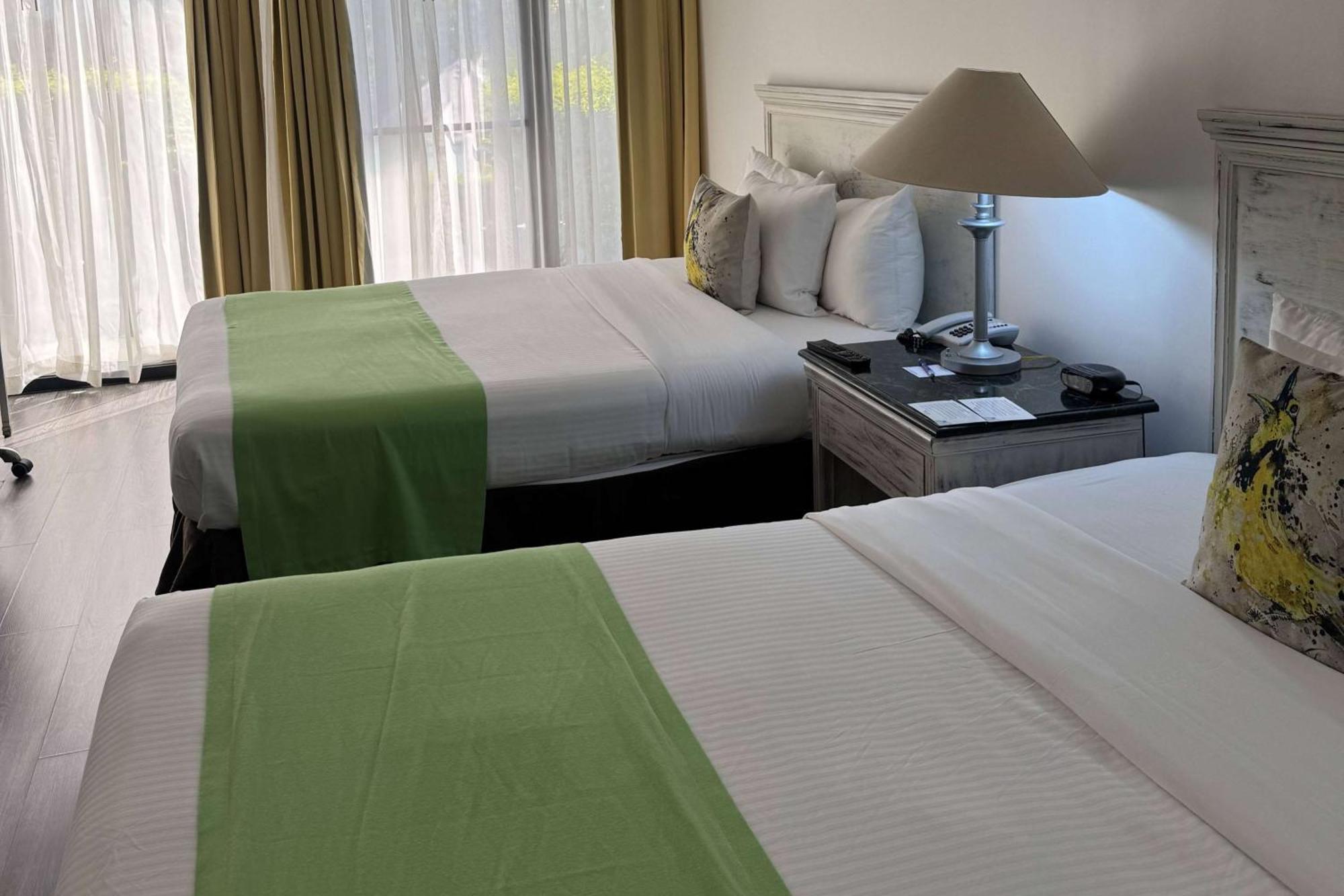 Wyndham San Jose Herradura エクステリア 写真 A room at the hotel